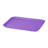 Flat Instrument Tray - Lavender