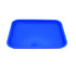 Flat Instrument Tray - Blue